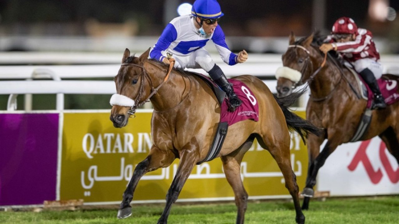 Julian Smart Believes In The Power Of Locally Bred Qatar’ ... Image 2